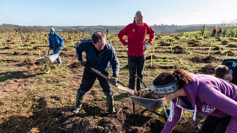 A small group of people dressed for winter using wheel barrows and spades to dig for tree planting